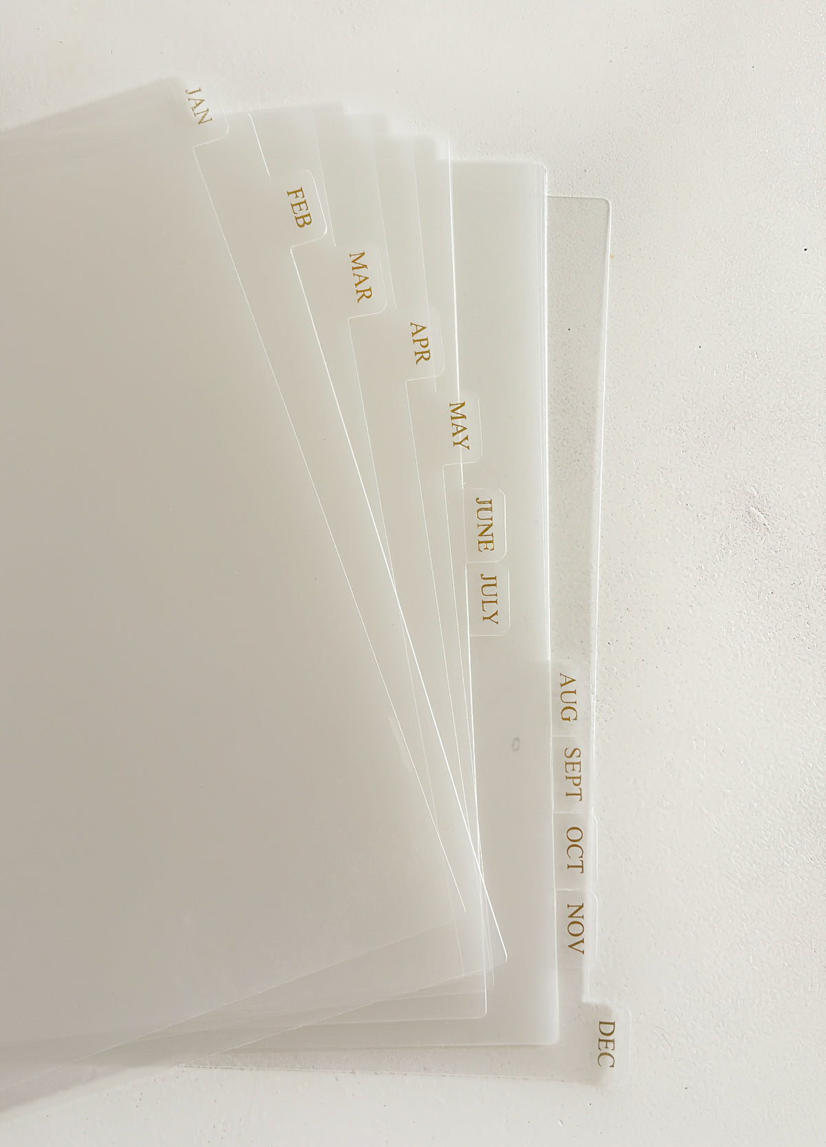 A set of translucent white plastic monthly file folders fanned out on a white surface, each tab labeled with a month in gold lettering.